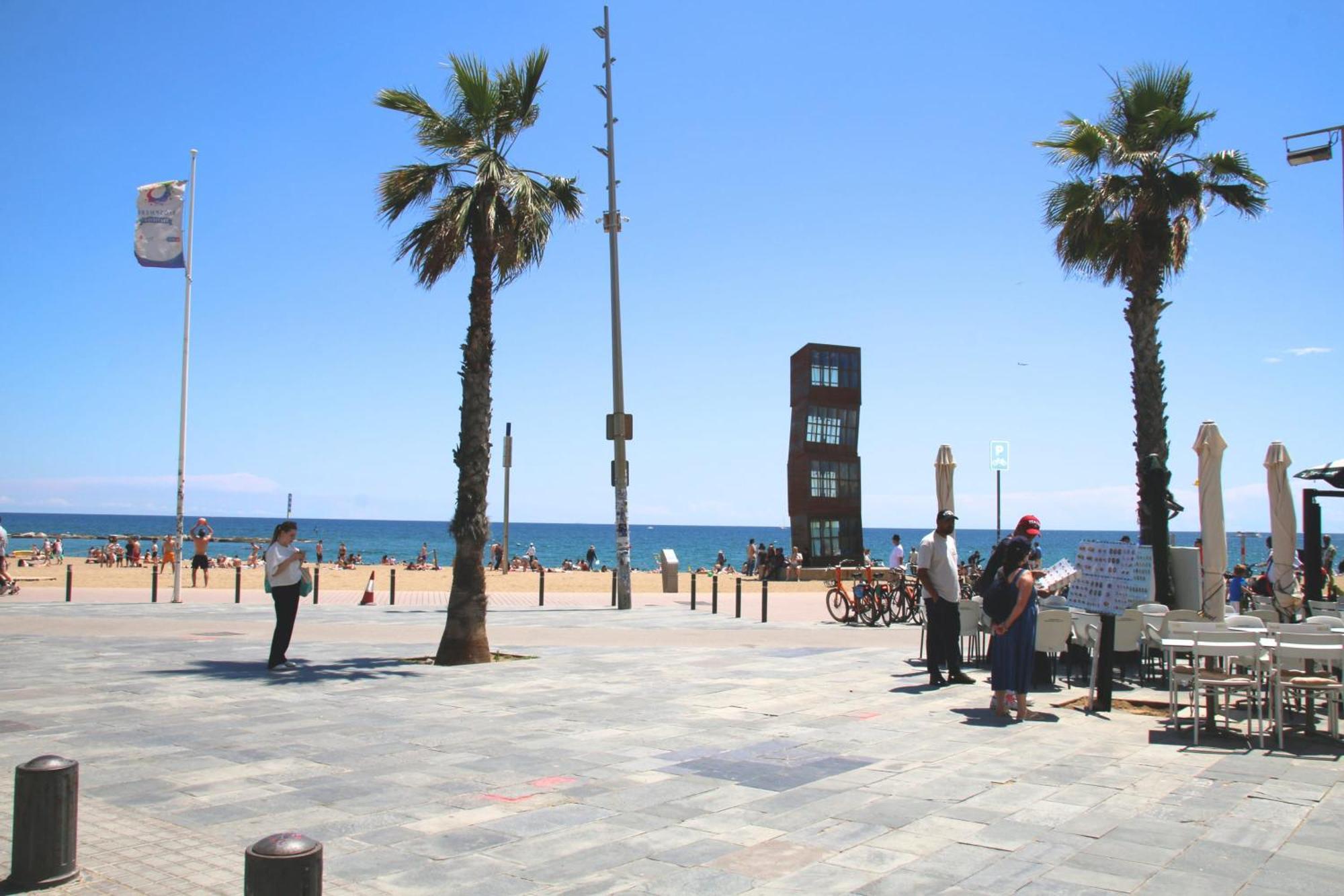 Great In Barceloneta Close To The * Barcelona